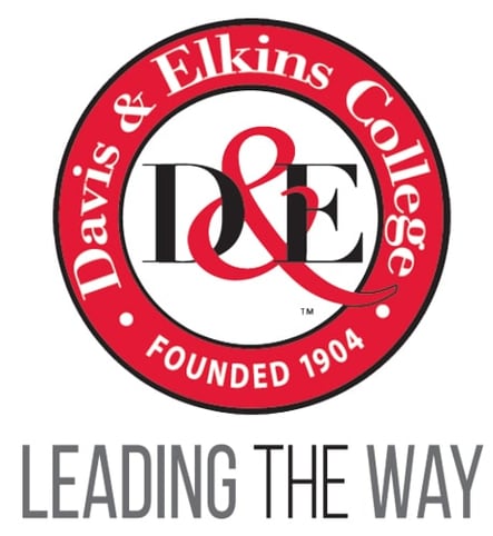 davis and elkins logo
