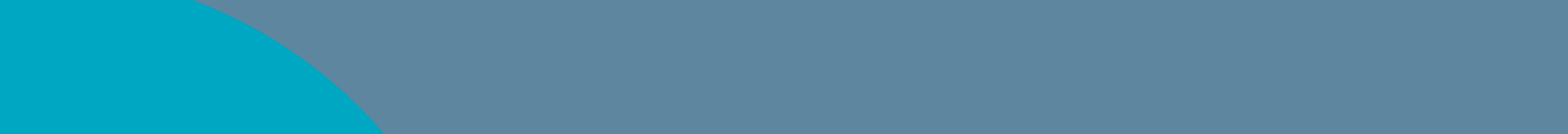 section-divider-blue